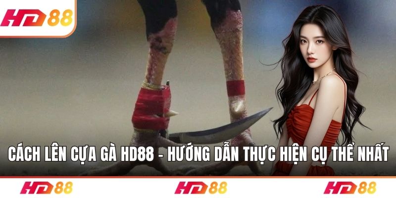 Cách lên cựa gà HD88