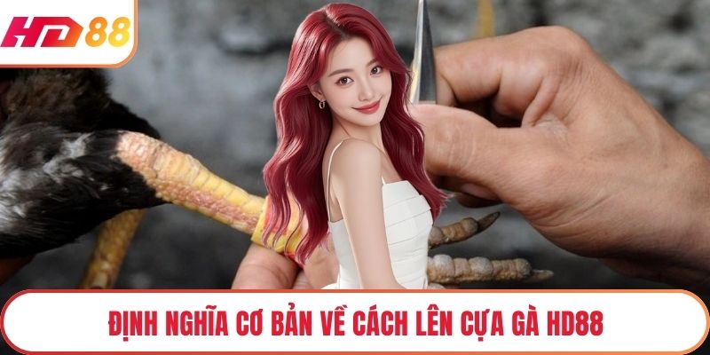 Định nghĩa cơ bản về cách lên cựa gà HD88