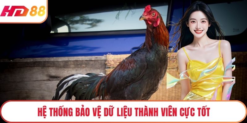 Hệ thống bảo vệ dữ liệu thành viên cực tốt