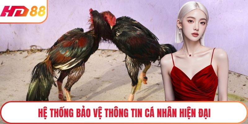 Hệ thống bảo vệ thông tin cá nhân hiện đại