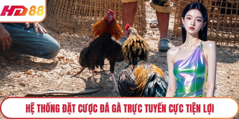 Hệ thống đặt cược đá gà trực tuyến cực tiện lợi