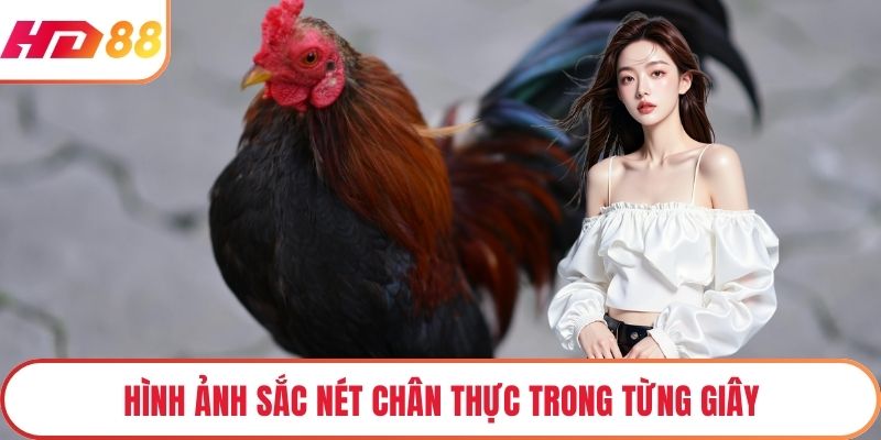 Hình ảnh sắc nét chân thực trong từng giây