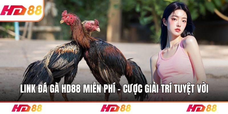 Link đá gà HD88 miễn phí