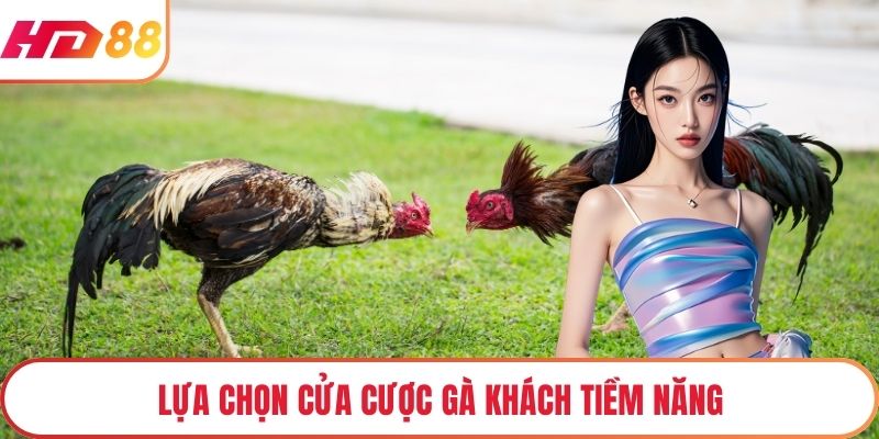 Lựa chọn cửa cược gà khách tiềm năng