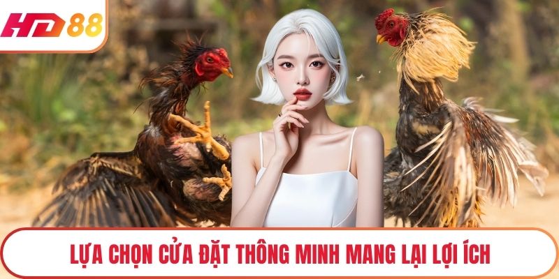 Lựa chọn cửa đặt thông minh mang lại lợi ích