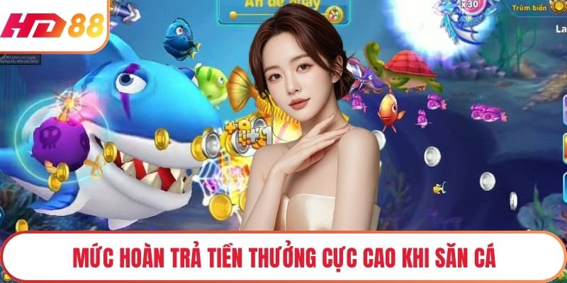 Mức hoàn trả tiền thưởng cực cao khi săn cá