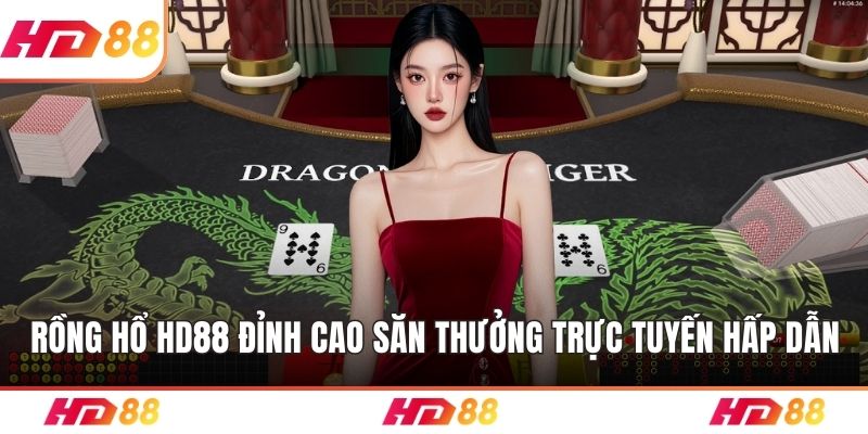 Rồng hổ HD88