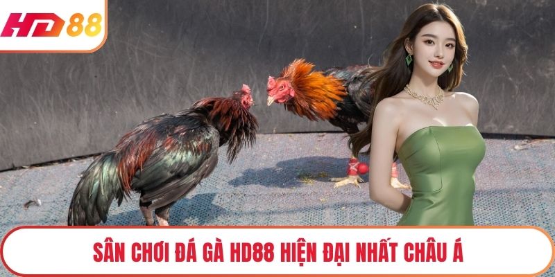 Sân chơi đá gà HD88 hiện đại nhất châu Á