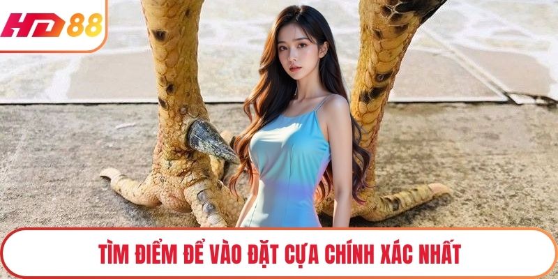 Tìm điểm để vào đặt cựa chính xác nhất