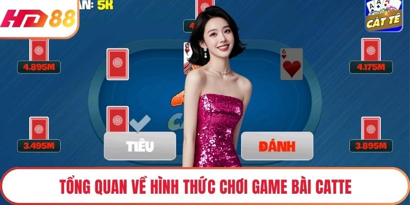 Tổng quan về hình thức chơi game bài catte